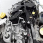 Moteur RENAULT LATITUDE