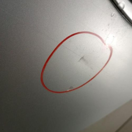 Porte arriere gauche CITROEN C5 1