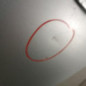 Porte arriere gauche CITROEN C5 1