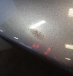 Porte arriere gauche CITROEN C5 2 Photo n°5