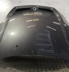 Capot RENAULT SCENIC 1 Photo n°1