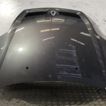 Capot RENAULT SCENIC 1 Photo n°1
