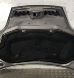 Capot RENAULT SCENIC 1 Photo n°5