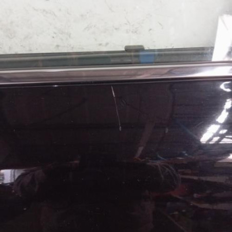 Porte arriere gauche RENAULT LATITUDE