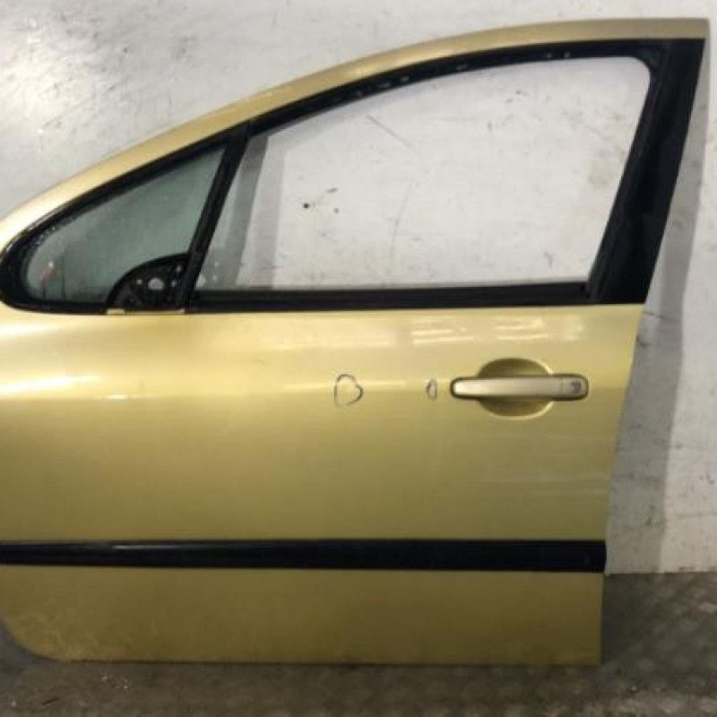 Porte avant gauche PEUGEOT 307