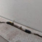 Cremaillere assistee RENAULT KANGOO 2