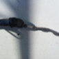 Cremaillere assistee RENAULT MEGANE 2