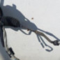 Cremaillere assistee CITROEN C3 1