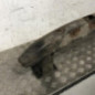 Renfort pare choc arriere (traverse) PEUGEOT 307
