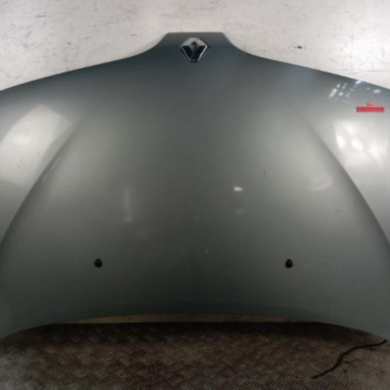 Capot RENAULT SCENIC 1