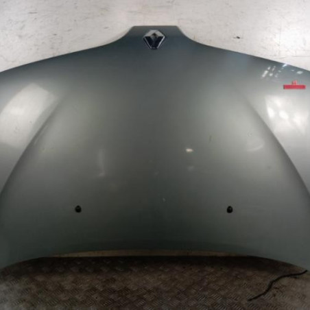 Capot RENAULT SCENIC 1 Photo n°1