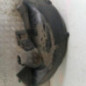 Pare boue arriere droit RENAULT CLIO 5