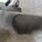 Boite de vitesses RENAULT CLIO 2