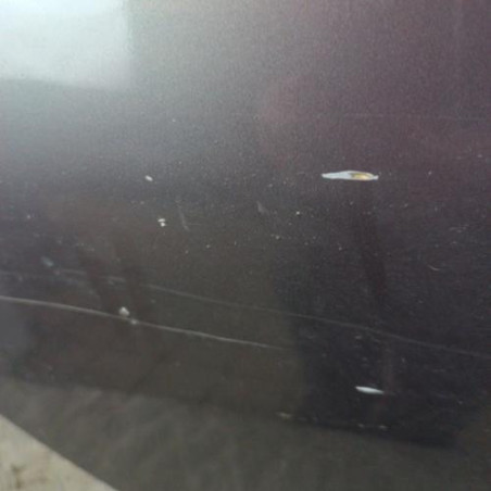 Porte arriere droit RENAULT SCENIC 1