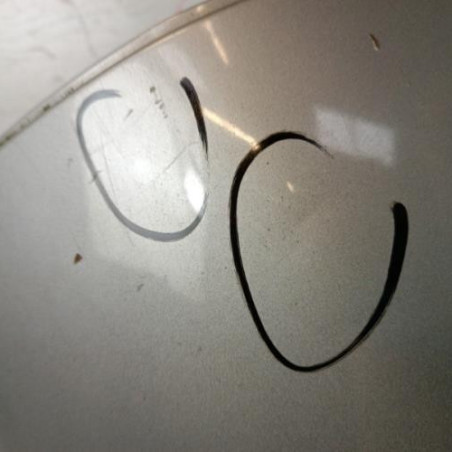 Porte arriere gauche PEUGEOT 206
