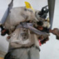 Boite de vitesses PEUGEOT 2008 1