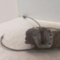 Serrure avant gauche RENAULT CLIO 3