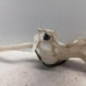 Vase de lave glace PEUGEOT 5008 1