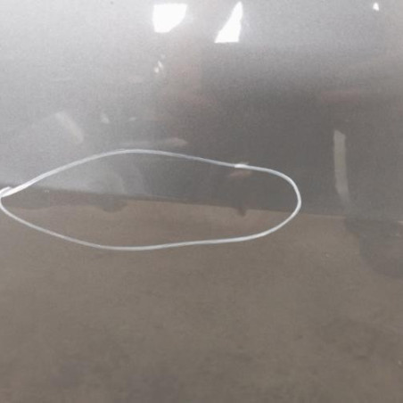 Porte arriere gauche SEAT IBIZA 4