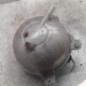 Vase d'expansion AUDI A3 3