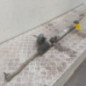 Cremaillere assistee RENAULT CLIO 4