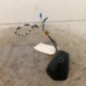 Antenne RENAULT CLIO 5