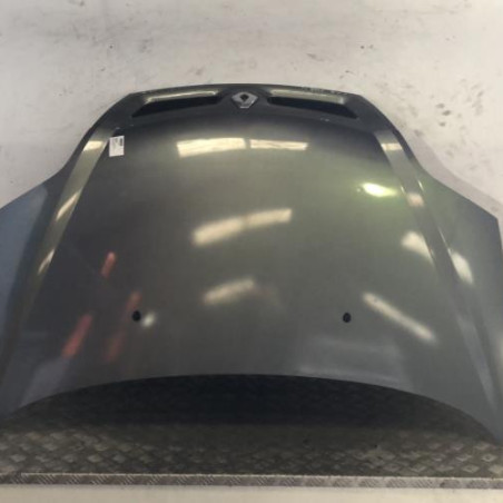 Capot RENAULT SCENIC 1 Photo n°1