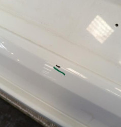 Pare choc arriere VOLKSWAGEN SCIROCCO 3 Photo n°4