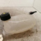 Vase d'expansion RENAULT CLIO 5