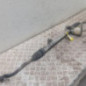 Cremaillere assistee RENAULT SCENIC 2
