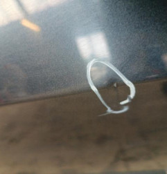 Porte avant droit RENAULT CLIO 3 Photo n°3