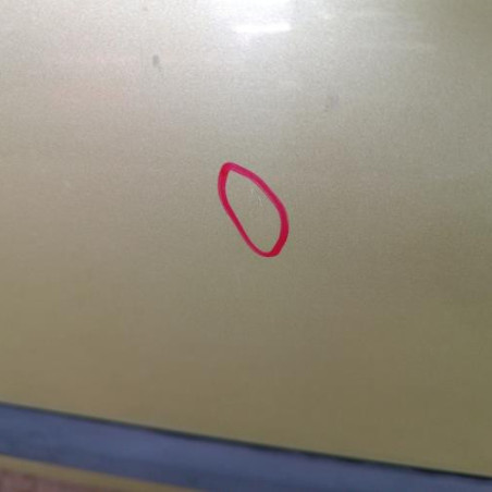 Porte avant droit RENAULT CLIO 2