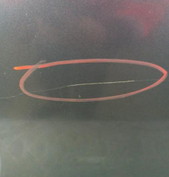 Porte arriere gauche CITROEN C4 2