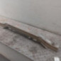 Renfort pare choc arriere (traverse) OPEL ASTRA H