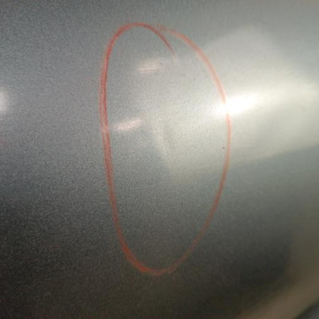 Porte avant gauche PEUGEOT 206